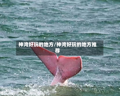 神湾好玩的地方/神湾好玩的地方推荐-第1张图片