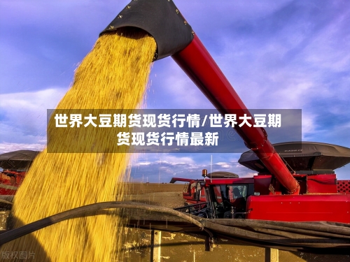 世界大豆期货现货行情/世界大豆期货现货行情最新