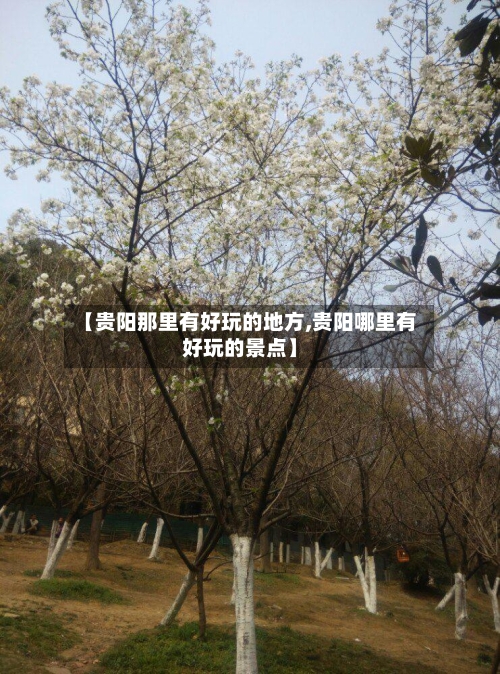 【贵阳那里有好玩的地方,贵阳哪里有好玩的景点】