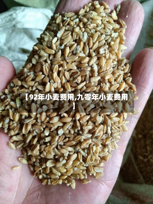 【92年小麦费用,九零年小麦费用】