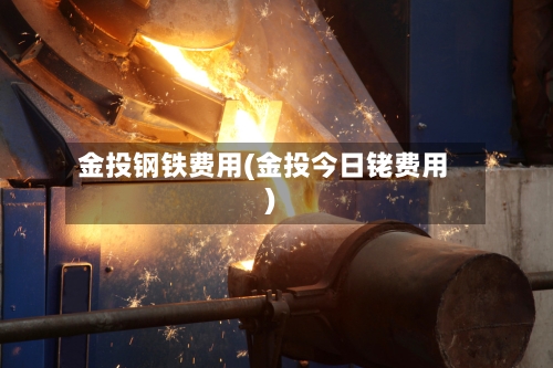 金投钢铁费用(金投今日铑费用)-第3张图片