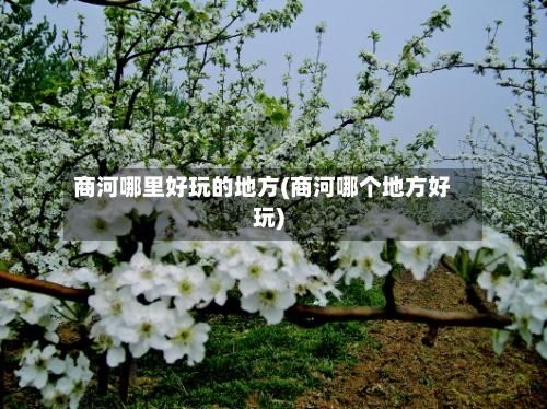 商河哪里好玩的地方(商河哪个地方好玩)-第2张图片