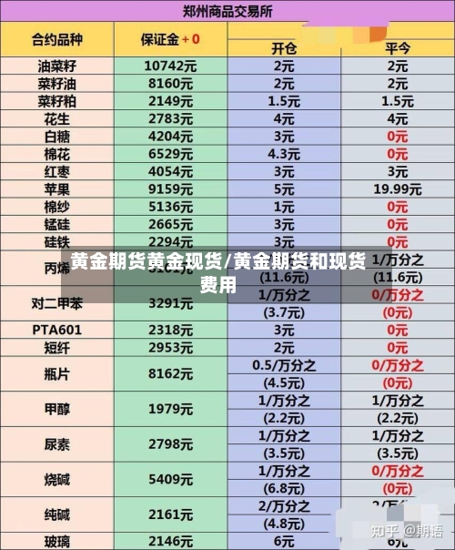 黄金期货黄金现货/黄金期货和现货费用-第1张图片