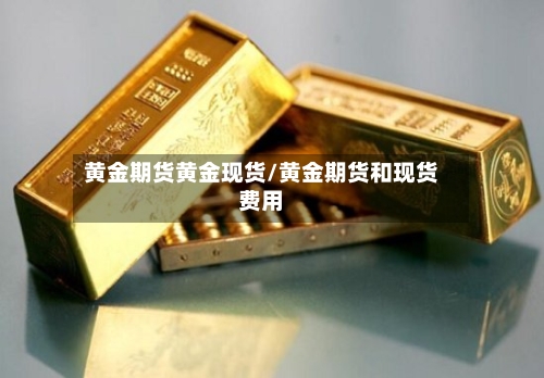 黄金期货黄金现货/黄金期货和现货费用-第2张图片