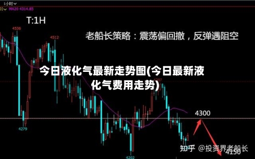 今日液化气最新走势图(今日最新液化气费用走势)-第2张图片