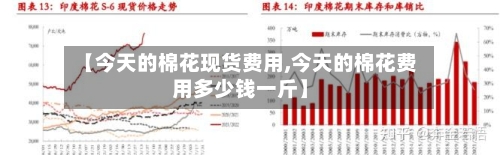【今天的棉花现货费用,今天的棉花费用多少钱一斤】-第1张图片