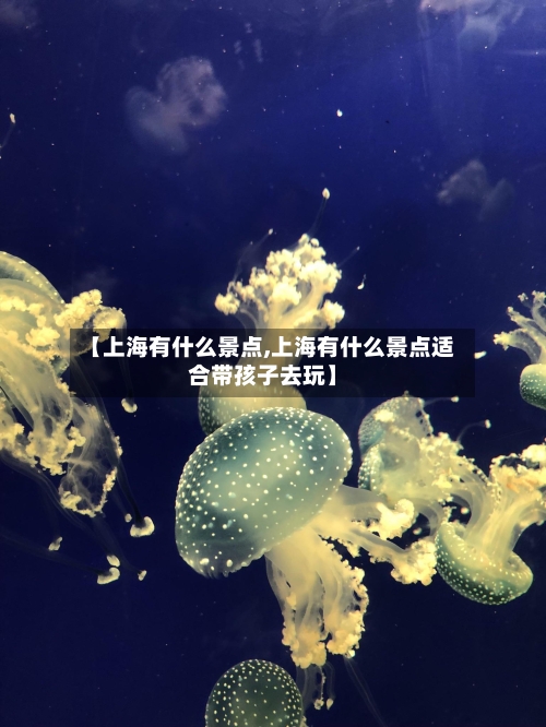 【上海有什么景点,上海有什么景点适合带孩子去玩】