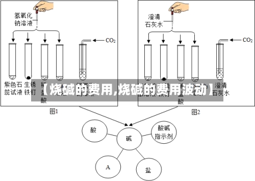 【烧碱的费用,烧碱的费用波动】-第2张图片