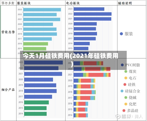 今天1月硅铁费用(2021年硅铁费用)-第1张图片