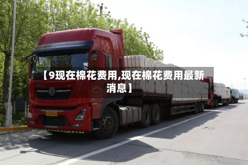 【9现在棉花费用,现在棉花费用最新消息】-第1张图片