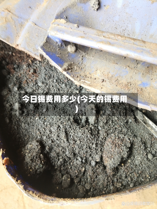 今日锡费用多少(今天的锡费用)