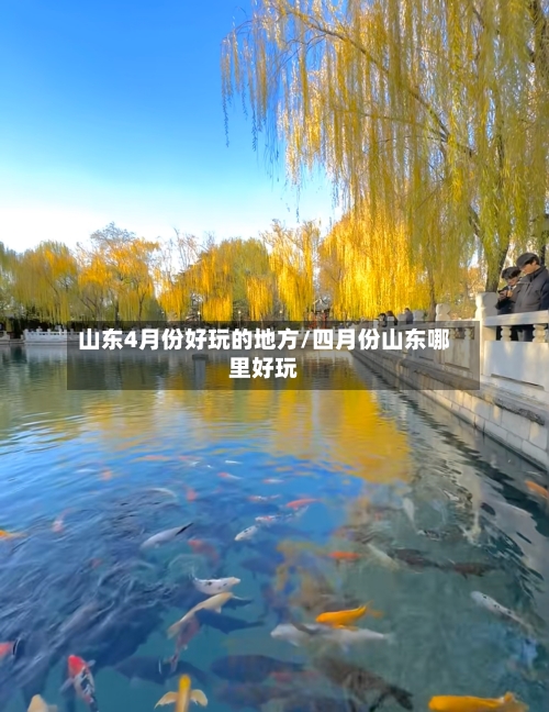 山东4月份好玩的地方/四月份山东哪里好玩-第2张图片