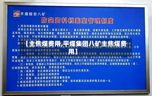 【主焦煤费用,平煤集团八矿主焦煤费用】