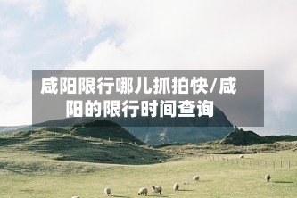 咸阳限行哪儿抓拍快/咸阳的限行时间查询