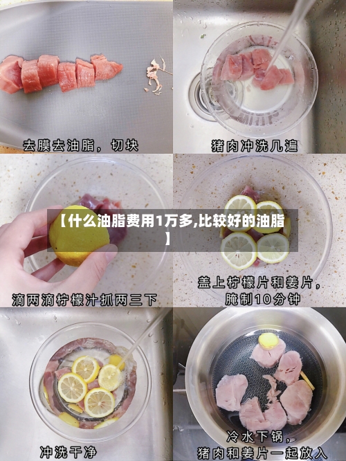 【什么油脂费用1万多,比较好的油脂】
