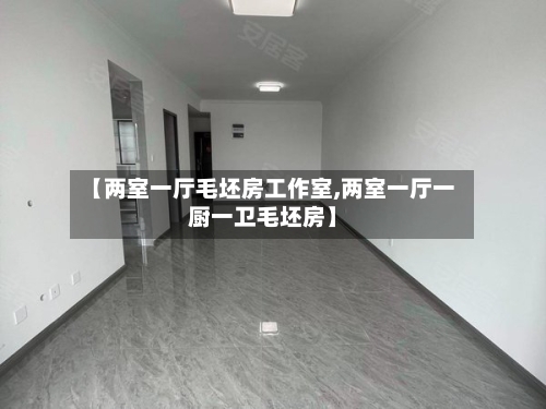【两室一厅毛坯房工作室,两室一厅一厨一卫毛坯房】-第3张图片