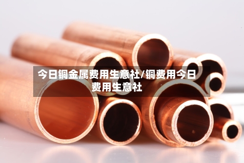 今日铜金属费用生意社/铜费用今日费用生意社-第2张图片