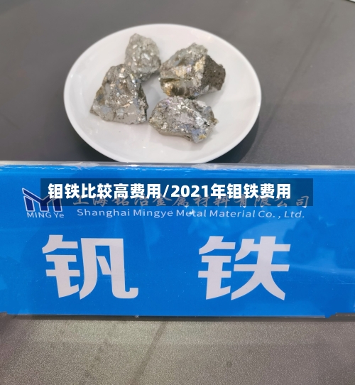 钼铁比较高费用/2021年钼铁费用-第1张图片