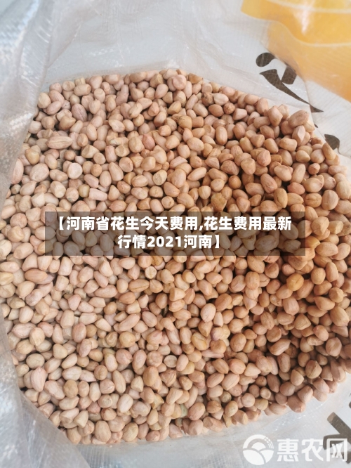 【河南省花生今天费用,花生费用最新行情2021河南】-第2张图片