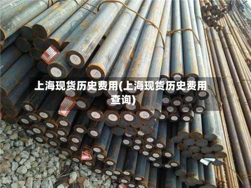 上海现货历史费用(上海现货历史费用查询)-第1张图片
