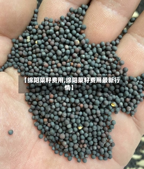 【绵阳菜籽费用,绵阳菜籽费用最新行情】-第1张图片