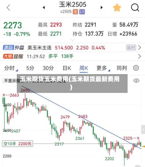 玉米期货玉米费用(玉米期货最新费用)-第2张图片