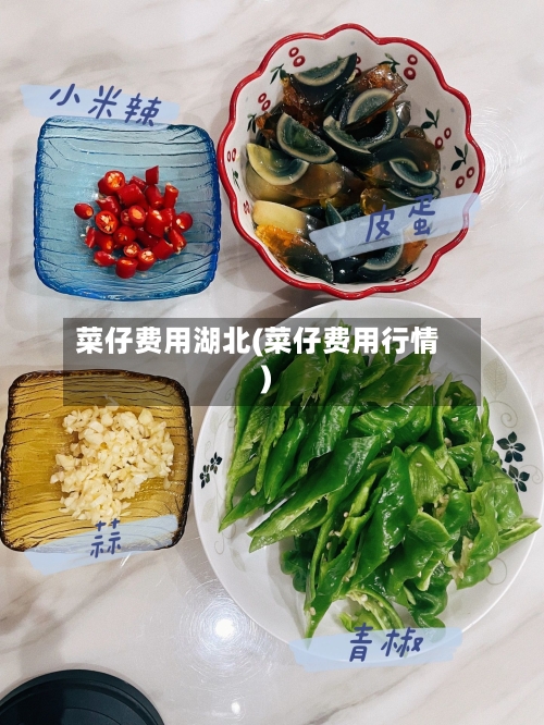 菜仔费用湖北(菜仔费用行情)-第2张图片