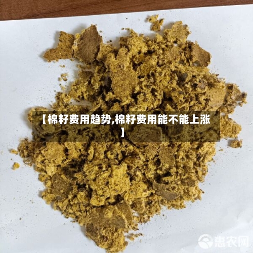 【棉籽费用趋势,棉籽费用能不能上涨】-第2张图片