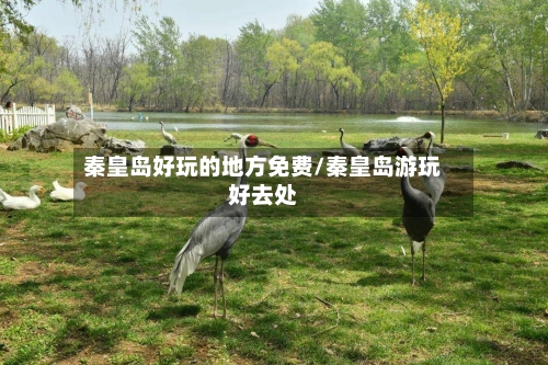 秦皇岛好玩的地方免费/秦皇岛游玩好去处-第1张图片