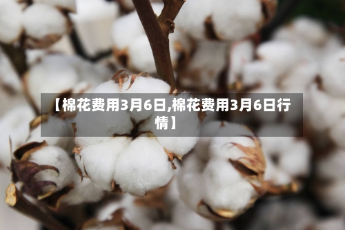 【棉花费用3月6日,棉花费用3月6日行情】-第1张图片