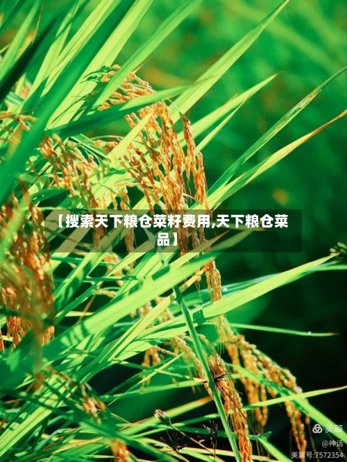 【搜索天下粮仓菜籽费用,天下粮仓菜品】-第1张图片