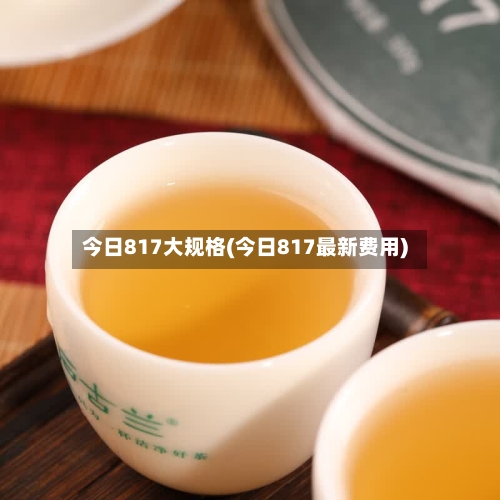 今日817大规格(今日817最新费用)-第1张图片