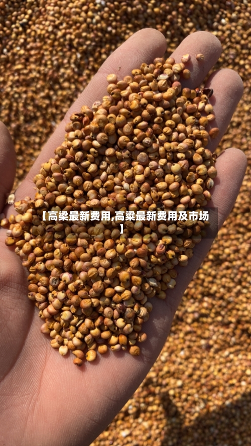 【高梁最新费用,高粱最新费用及市场】-第2张图片