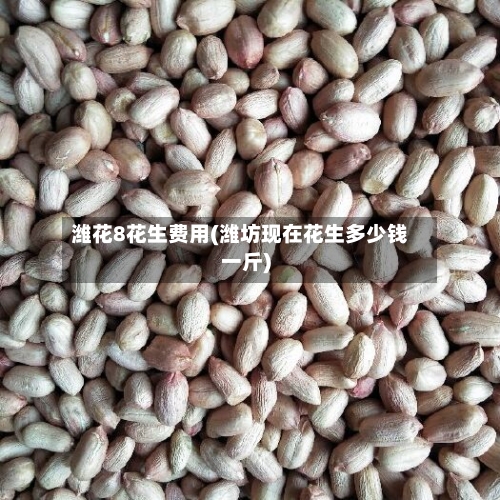 潍花8花生费用(潍坊现在花生多少钱一斤)-第3张图片