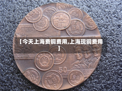 【今天上海费铜费用,上海现铜费用】-第2张图片