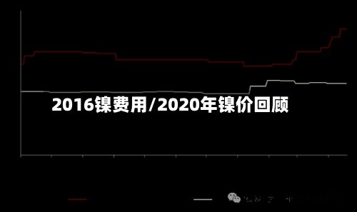 2016镍费用/2020年镍价回顾-第2张图片
