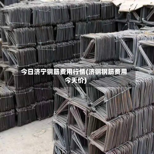 今日济宁钢筋费用行情(济钢钢筋费用今天价)-第2张图片
