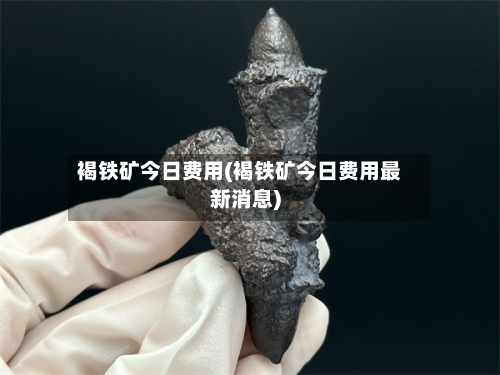 褐铁矿今日费用(褐铁矿今日费用最新消息)-第1张图片