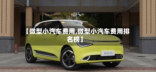 【微型小汽车费用,微型小汽车费用排名榜】-第2张图片