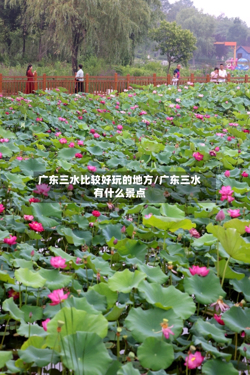 广东三水比较好玩的地方/广东三水有什么景点-第3张图片