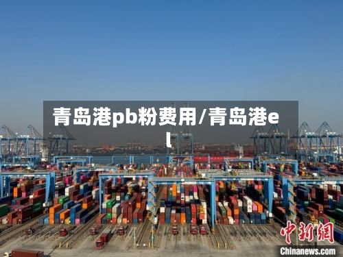 青岛港pb粉费用/青岛港el-第3张图片